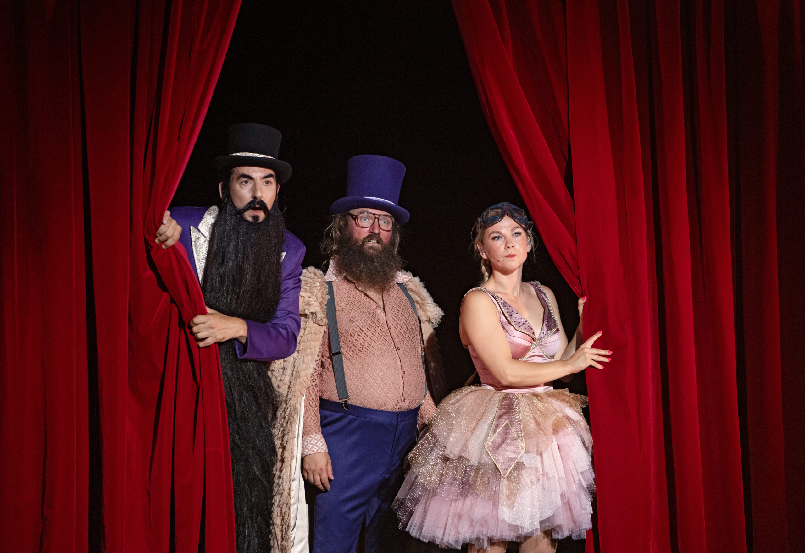 Om Cirkus Summarum